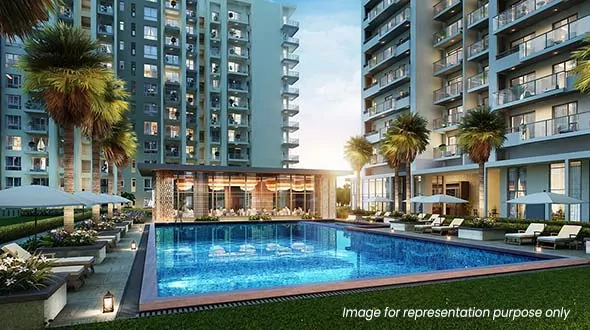 amenity-image1